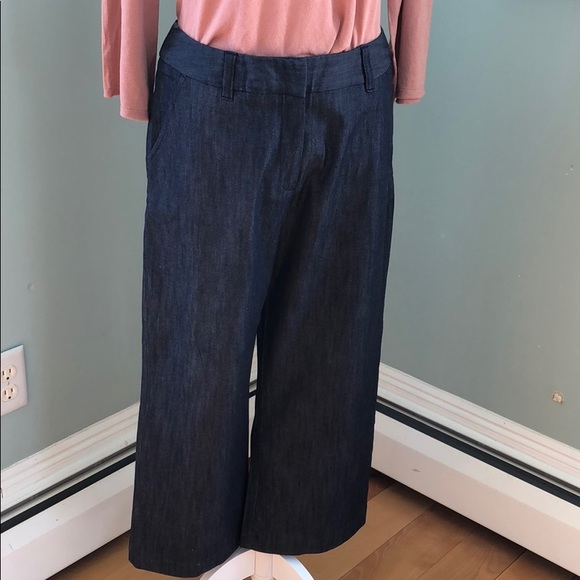 Garnet Hill Crop Chinos in Dressy Denim Sz 10 - Picture 2 of 8